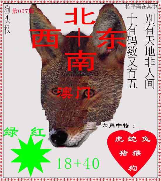 007期狗头报[图]