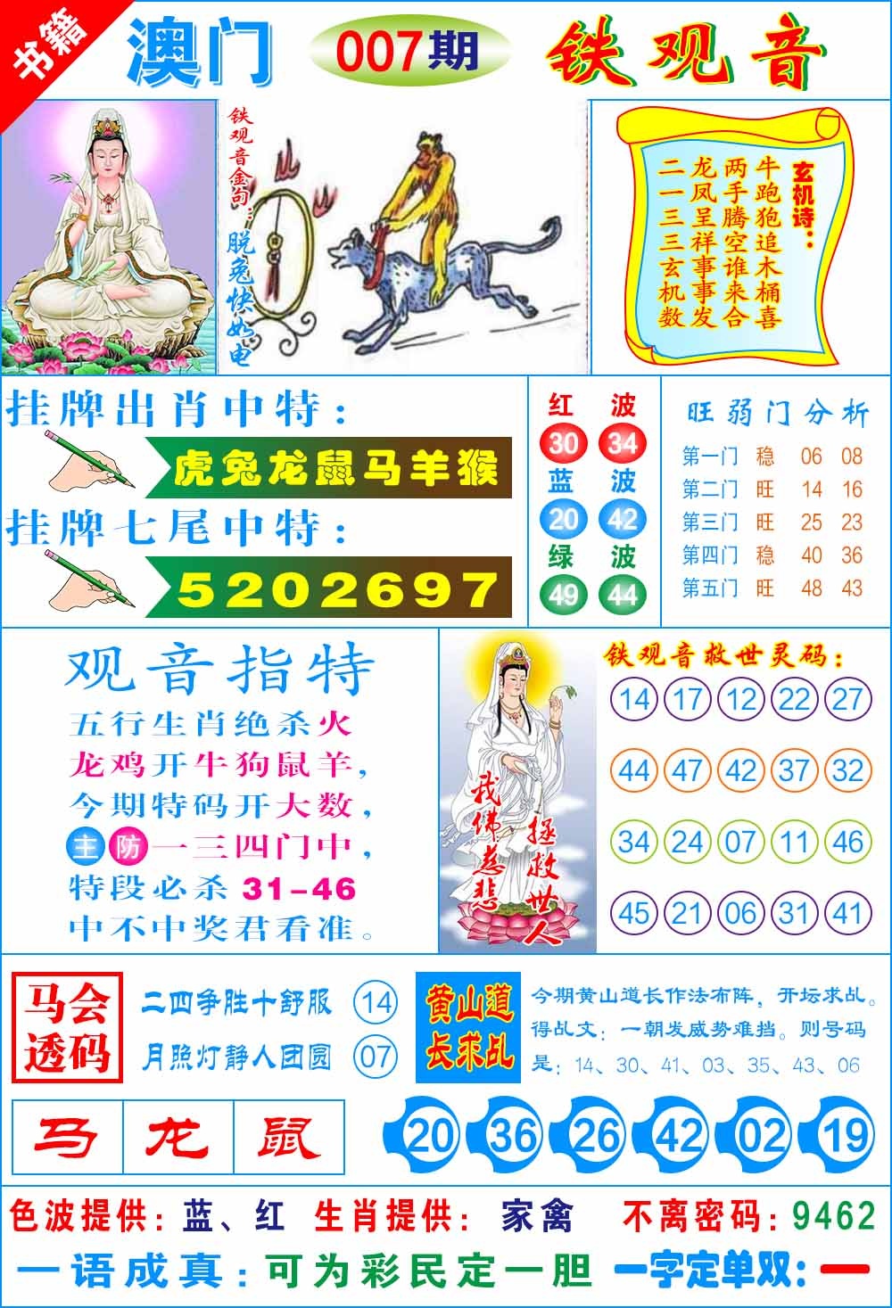 007期澳门铁观音[图]