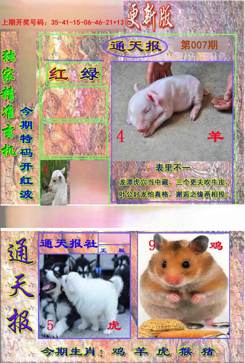 007期新通报[图]