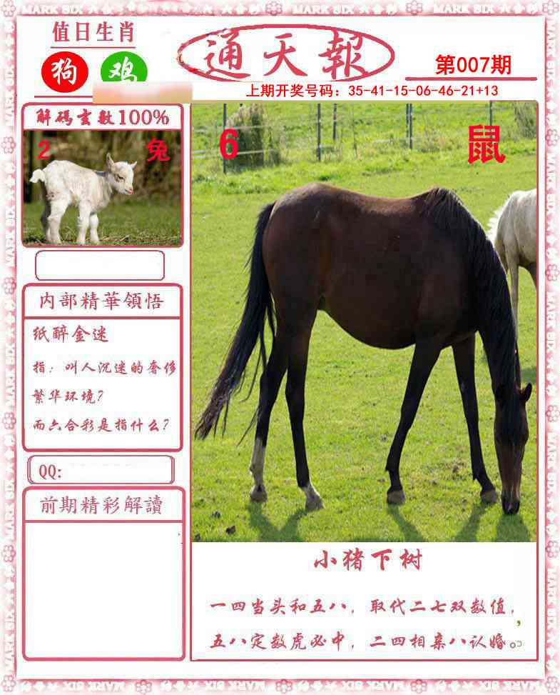 007期正版通天报[图]