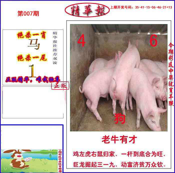 007期新精华报报[图]
