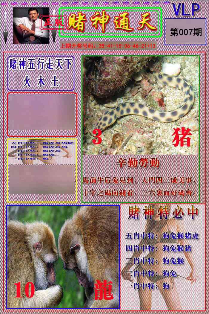 007期赌神通天报[图]