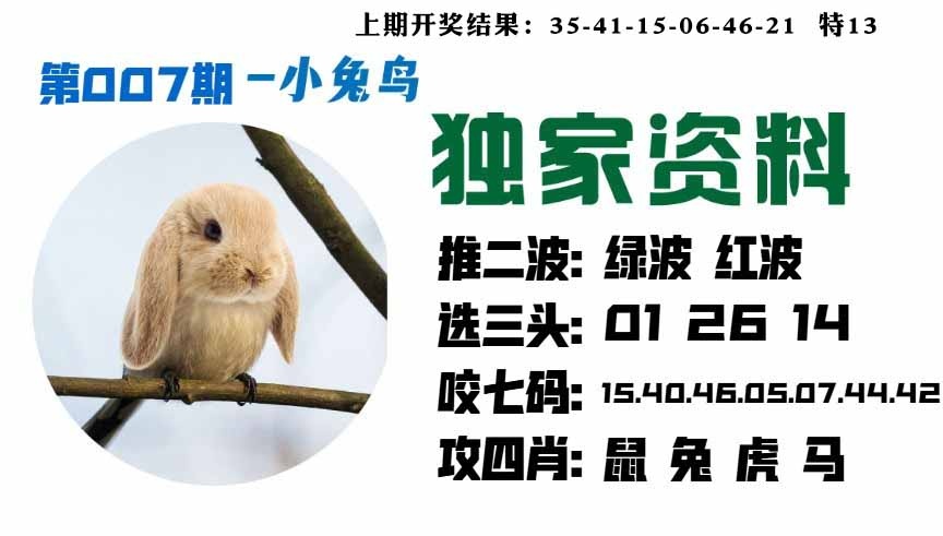 007期小兔鸟[图]